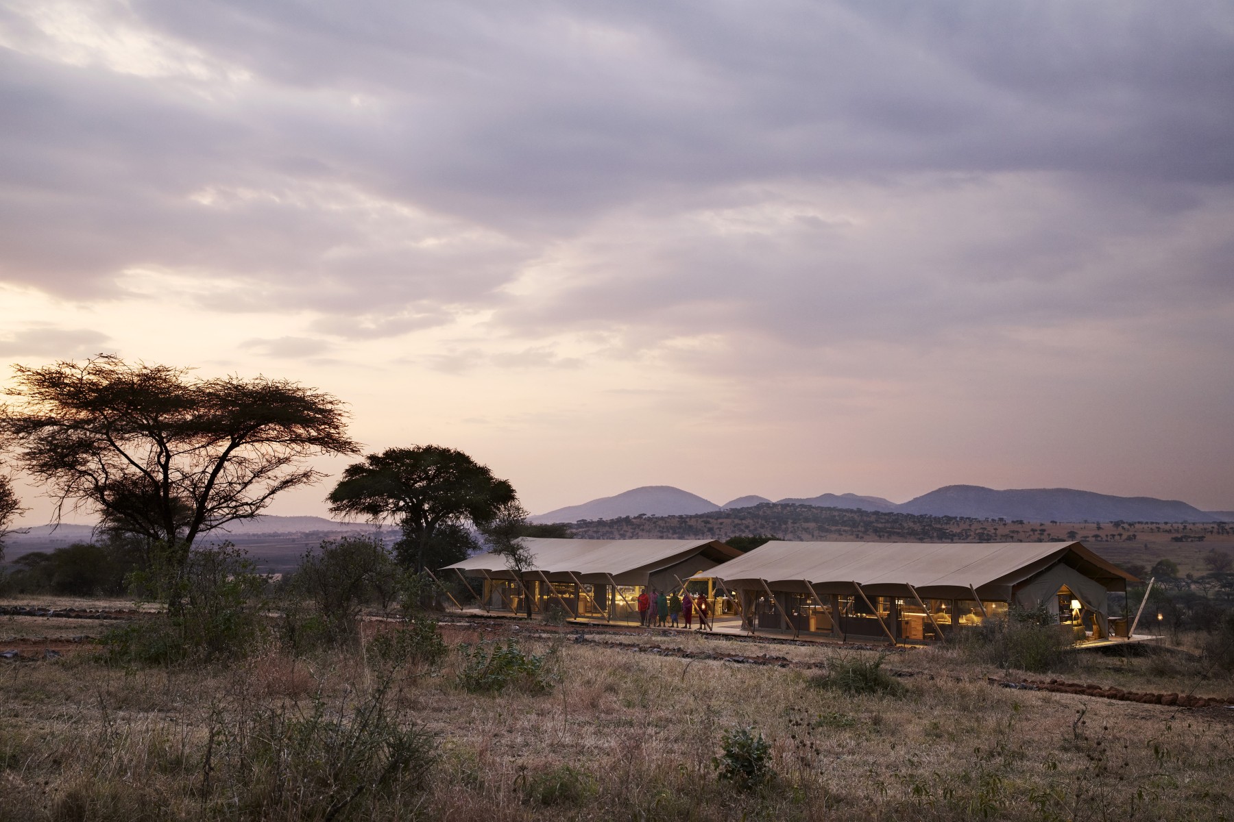 Out of Africa by Laba Laba